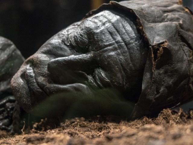 Tollund Man-1